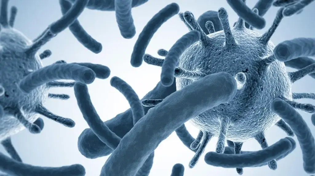 Les notions de base sur les contaminations