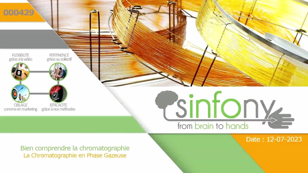 Chromatographie phase gazeuse