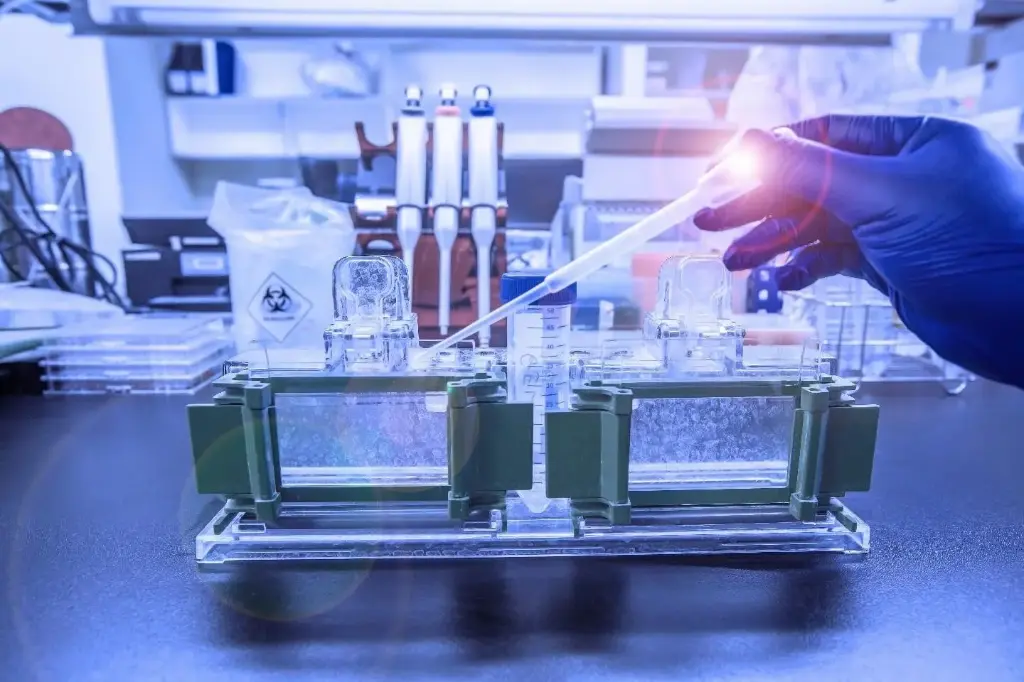 [PHA-PCQ-F10-FR] Le Western Blot (FR)