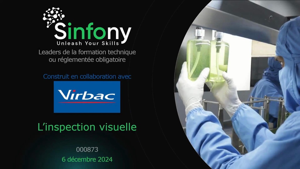 L'inspection visuelle