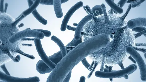 Les notions de base sur les contaminations