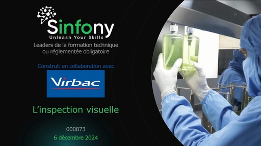 L'inspection visuelle